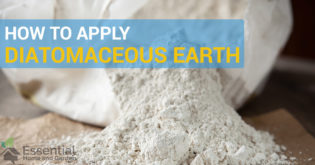 diatomaceous earth apply