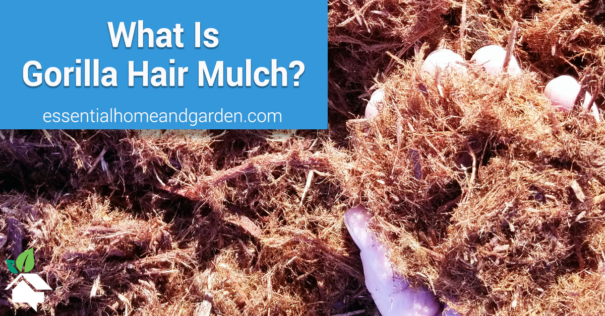 What Is Gorilla Hair Mulch? – EcoMulch