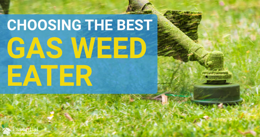 best gas weed wacker 2020