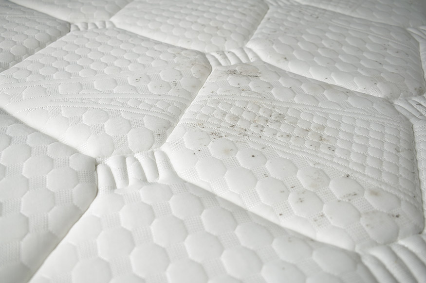 mold on foam mattress topper