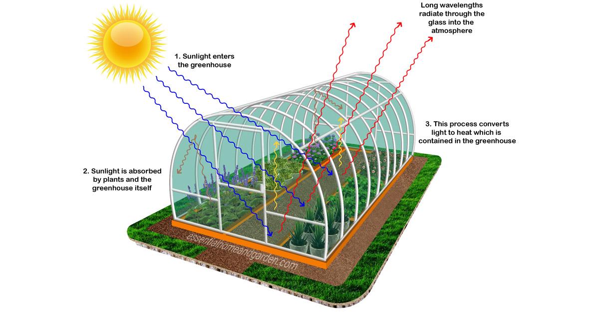essays about greenhouses