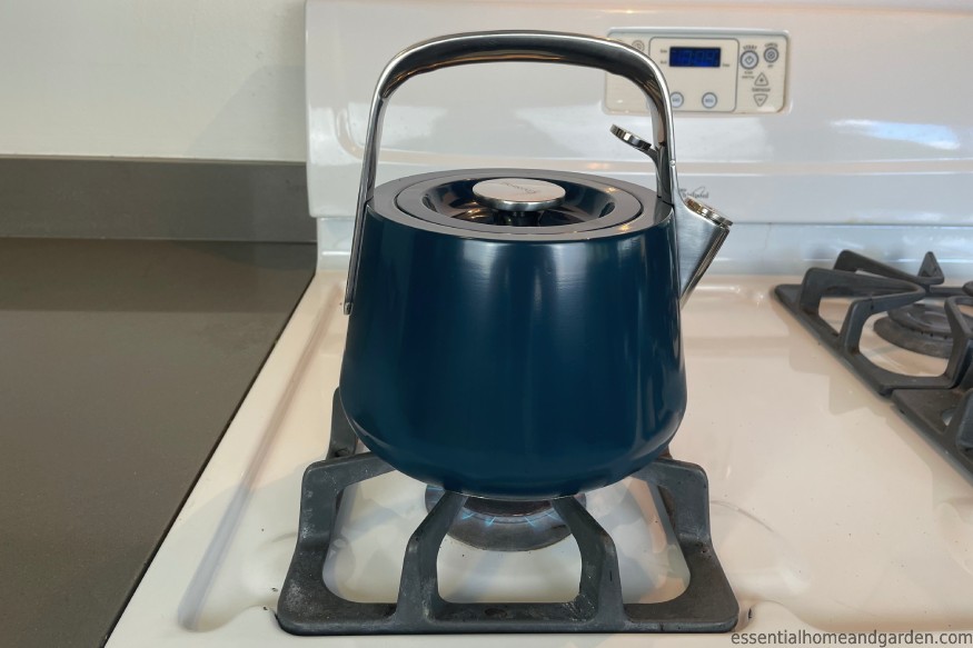 Reviews for CARAWAY HOME Stovetop Whistling Tea Kettle in Perracotta